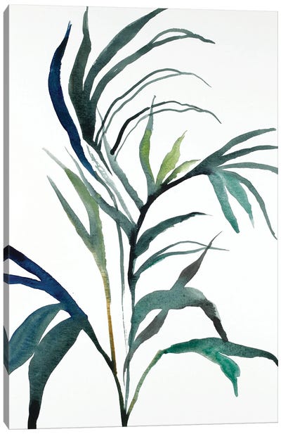 Plant Study No. 90 Canvas Art Print - Elizabeth Becker