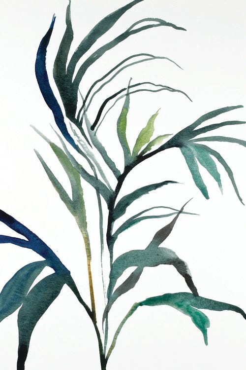 Plant Study No. 90