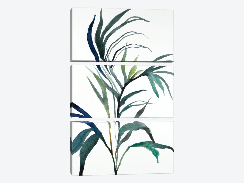 Plant Study No. 90 by Elizabeth Becker 3-piece Canvas Art Print