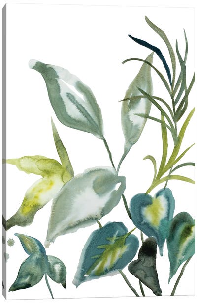 Plant Study No. 98 Canvas Art Print - Elizabeth Becker