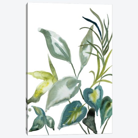 Plant Study No. 98 Canvas Print #EZB97} by Elizabeth Becker Canvas Wall Art