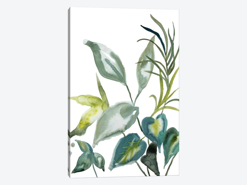 Plant Study No. 98 by Elizabeth Becker 1-piece Canvas Art