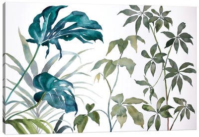 Plant Study No. 109 Canvas Art Print - Elizabeth Becker