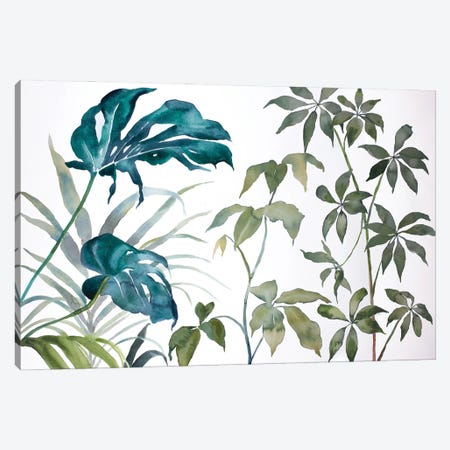 Plant Study No. 109 Canvas Print #EZB98} by Elizabeth Becker Canvas Print