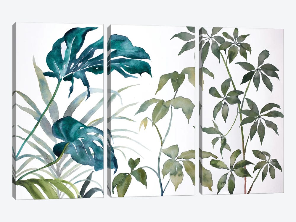 Plant Study No. 109 by Elizabeth Becker 3-piece Canvas Print
