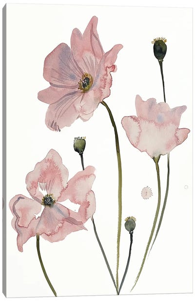 Poppy No. 4 Canvas Art Print - Minimalist Flowers
