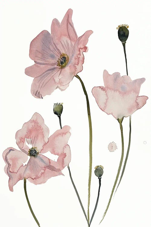 Poppy No. 4 by Elizabeth Becker wall art