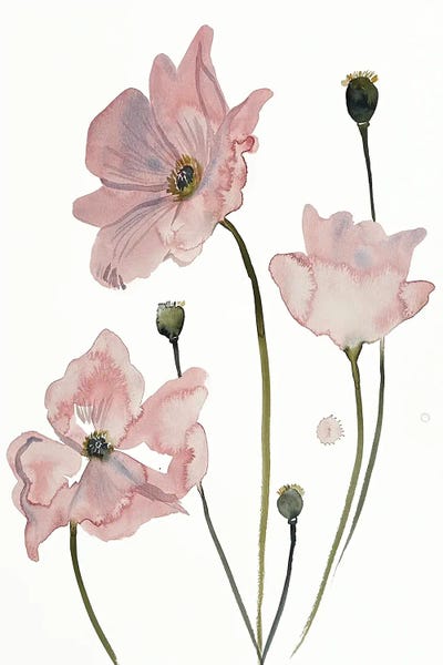 Watercolor Flowers: Poppy No. 4 by Elizabeth Becker
