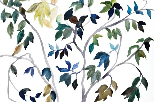 Elizabeth Becker: Branch Study No. 44 by Elizabeth Becker