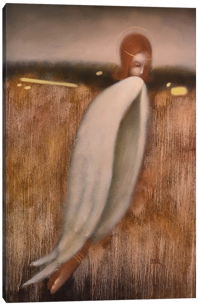 Angel Wings Canvas Art Print - Eduard Zentsik