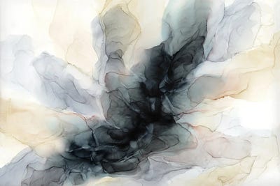 Cavern by Elizabeth Karlson framed wall art