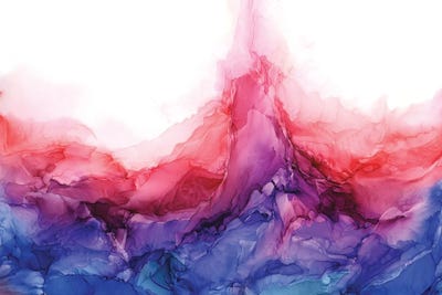 Pink Fire by Elizabeth Karlson framed canvas print