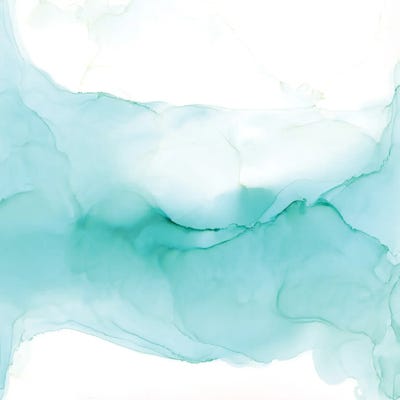 Aqua Mist by Elizabeth Karlson framed wall art