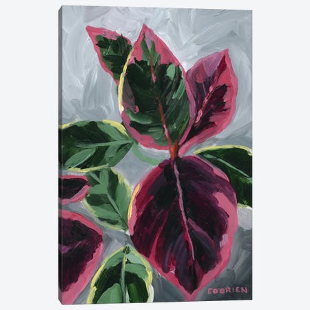 House Plant III Canvas Print #EZO16} by Elizabeth O'Brien Canvas Art Print