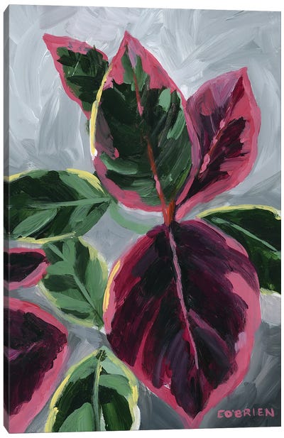 House Plant III Canvas Art Print - Elizabeth O'Brien