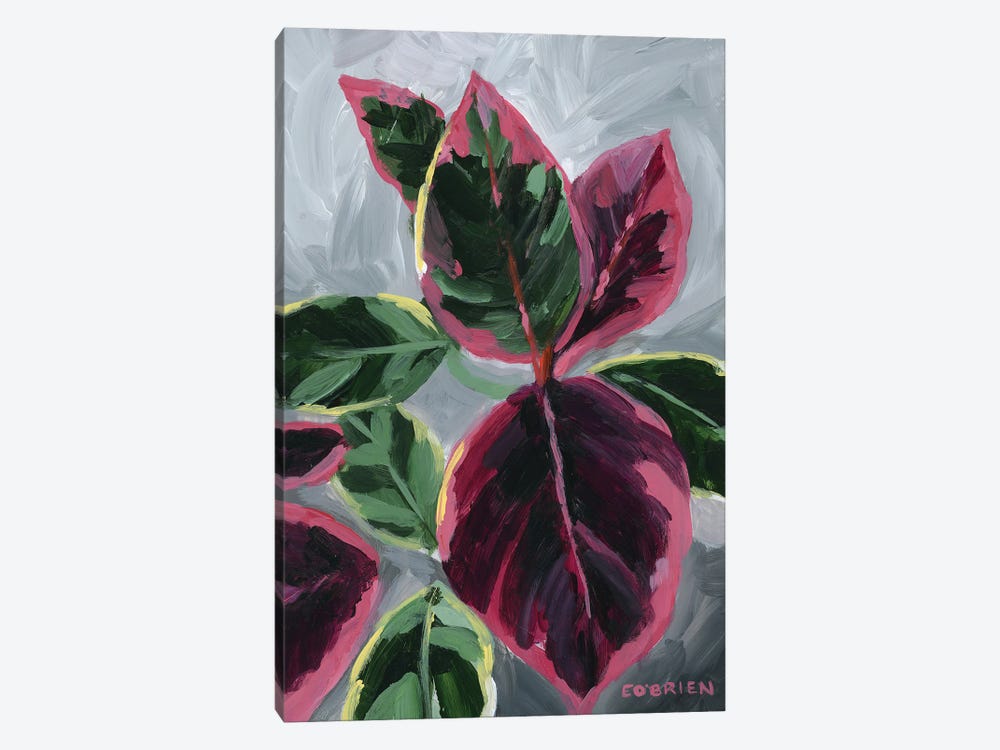 House Plant III by Elizabeth O'Brien 1-piece Canvas Artwork