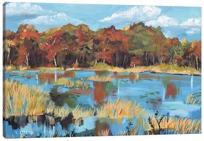 Pond Landscape Canvas Art Print - Elizabeth O'Brien