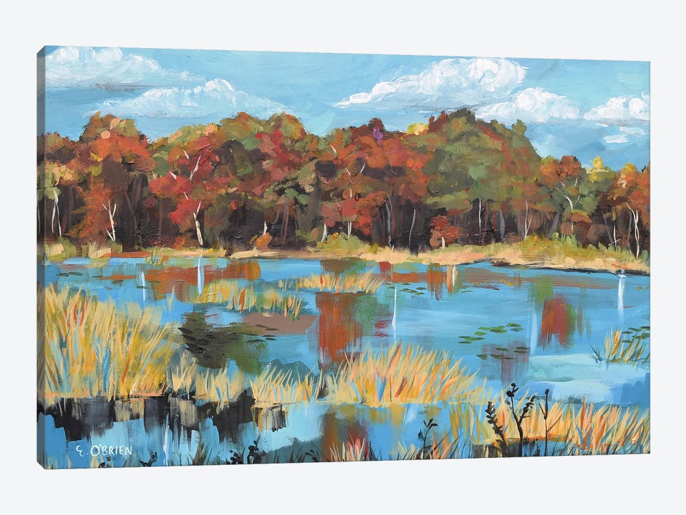 Pond Landscape by Elizabeth O'Brien 1-piece Canvas Print