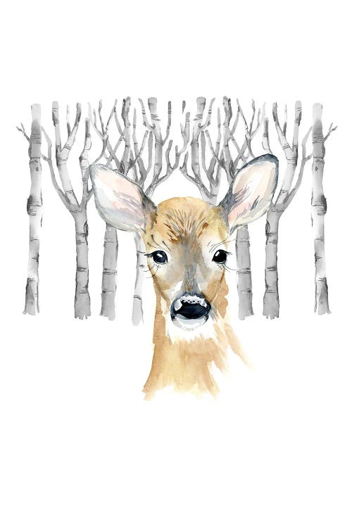 Woodland Deer