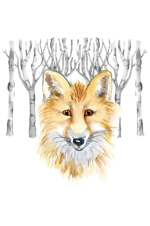 Woodland Fox