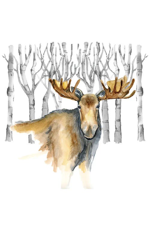 Woodland Moose