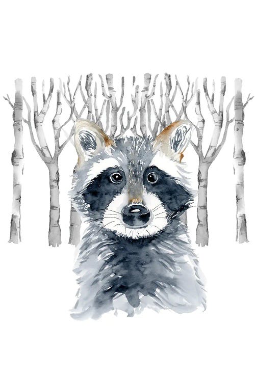 Woodland Racoon