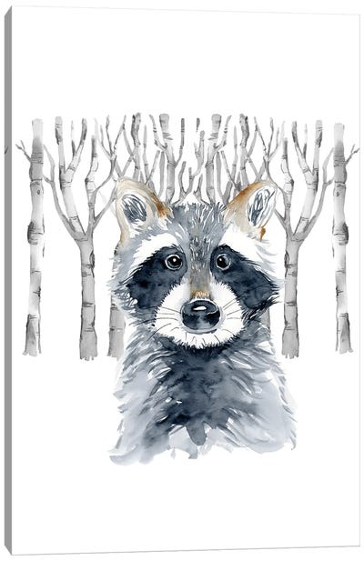 Woodland Racoon Canvas Art Print - Raccoon Art