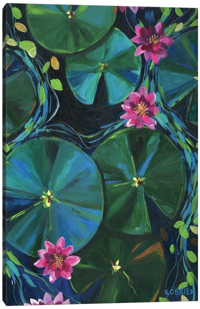 Lily Pad Canvas Art Print - Pond Art