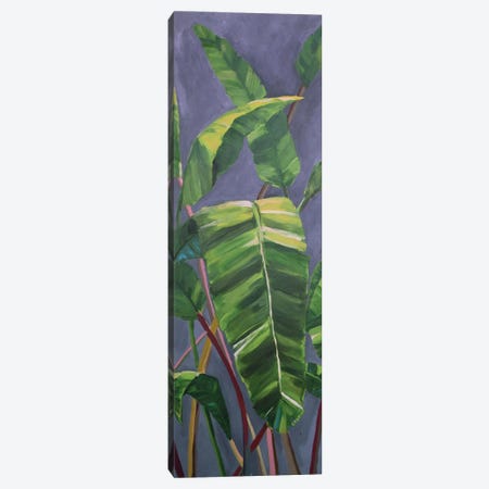 Tropical Tall Palms Canvas Print #EZO5} by Elizabeth O'Brien Canvas Art Print