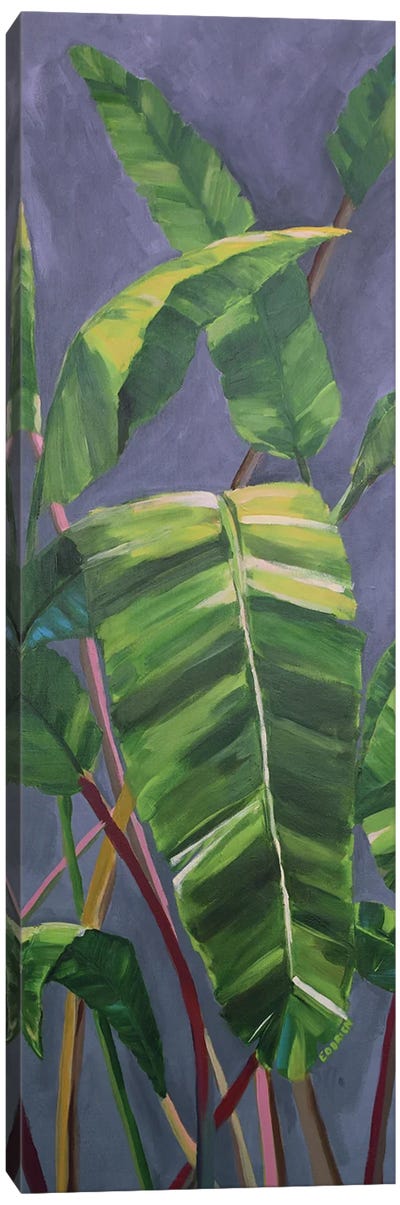 Tropical Tall Palms Canvas Art Print - Elizabeth O'Brien