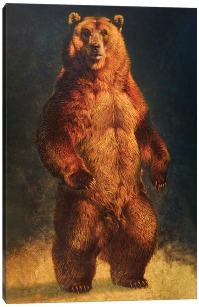Big Country Outlaw Canvas Art Print - Brown Bear Art
