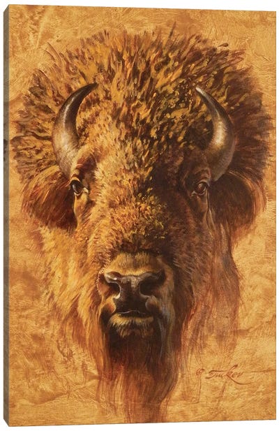 Bison Bull Portrait Canvas Art Print - Bison & Buffalo Art