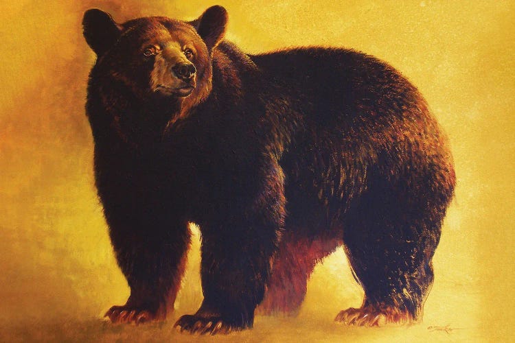 Black Bear Boar