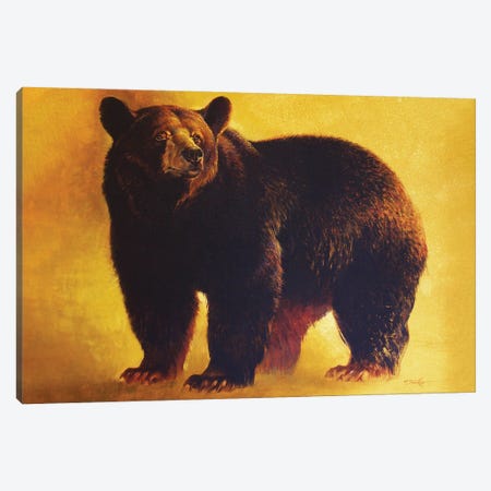 Black Bear Boar Canvas Print #EZT14} by Ezra Tucker Canvas Artwork