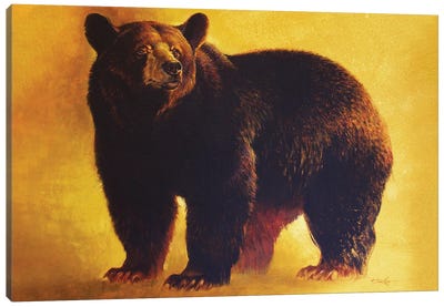 Black Bear Boar Canvas Art Print - Ezra Tucker