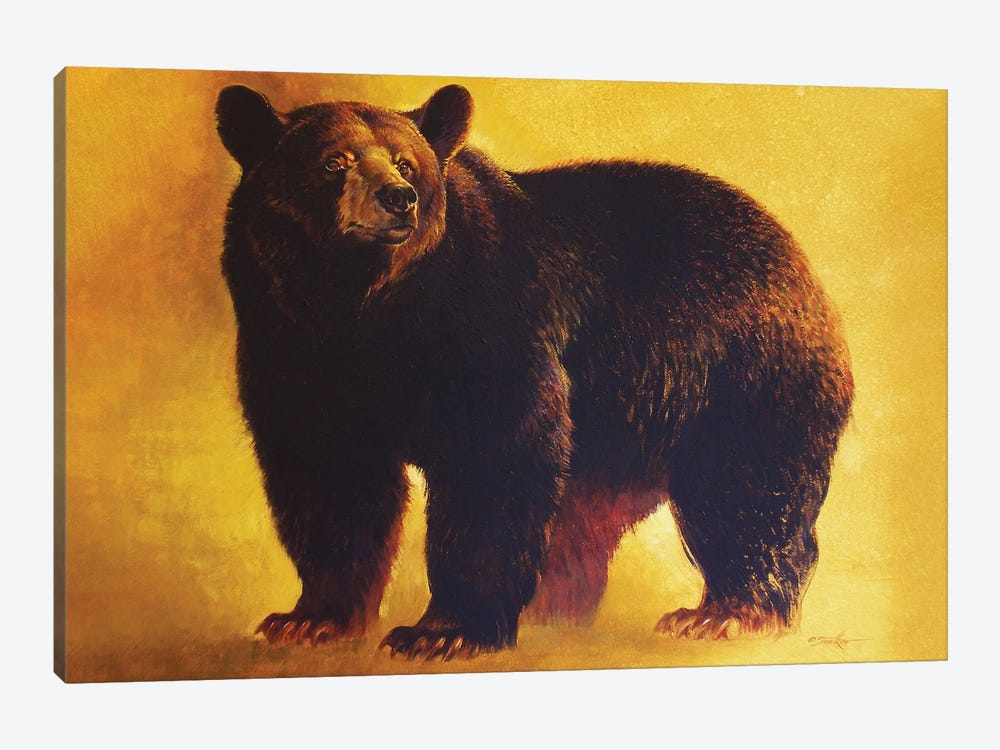 Black Bear Boar by Ezra Tucker 1-piece Canvas Artwork
