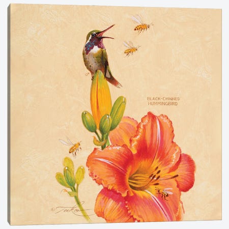 Black-Chinned Hummingbird, Lily & Honey Bees Canvas Print #EZT16} by Ezra Tucker Canvas Artwork