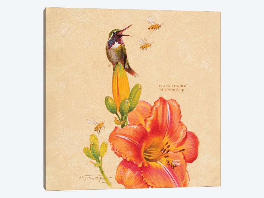 Black-Chinned Hummingbird, Lily & Honey Bees by Ezra Tucker 1-piece Canvas Art