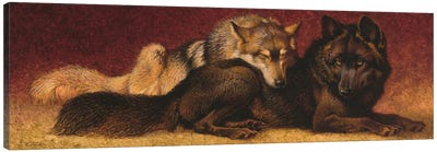 Cozy Companions II Canvas Art Print - Wolf Art