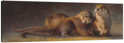 Cozy Companions Otters Canvas Art Print - Otter Art