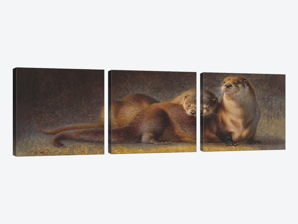 Cozy Companions Otters by Ezra Tucker 3-piece Canvas Wall Art