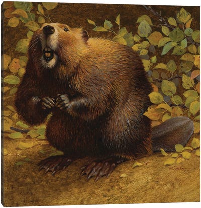 It Was Just A Twig Canvas Art Print - Beavers