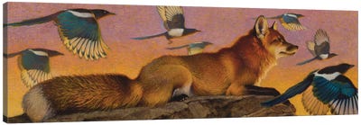 Magpie Melody Canvas Art Print - Golden Hour Animals