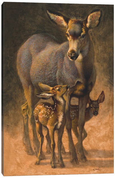 Peek & Boo Canvas Art Print - Baby Animal Art