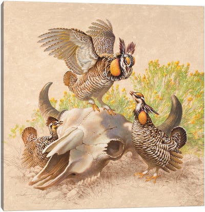 Range War Canvas Art Print - Animal Illustrations
