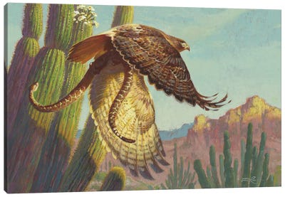 Redtail & Rattler Canvas Art Print - Buzzard & Hawk Art