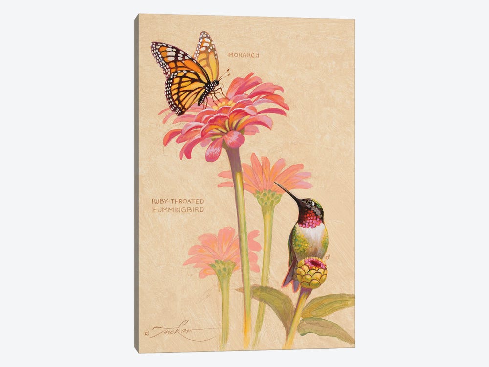 Ruby-Throated Hummingbird & Monarch by Ezra Tucker 1-piece Canvas Print