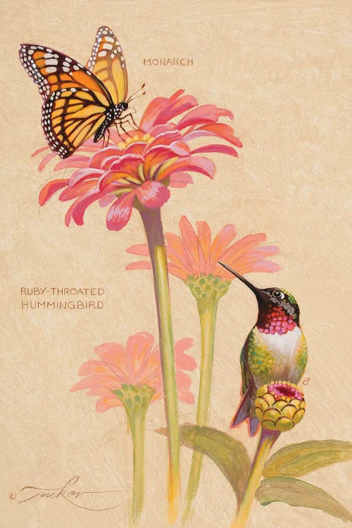 Ruby-Throated Hummingbird & Monarch by Ezra Tucker wall art