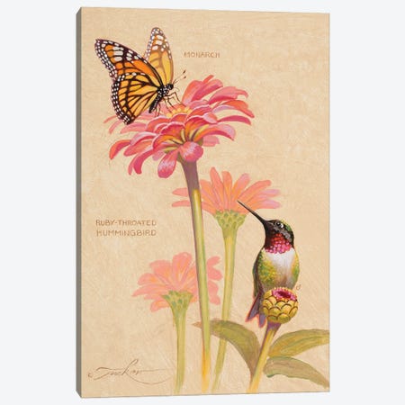 Ruby-Throated Hummingbird & Monarch Canvas Print #EZT48} by Ezra Tucker Canvas Artwork