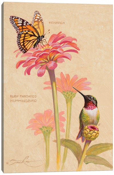 Ruby-Throated Hummingbird & Monarch Canvas Art Print - Hummingbird Art
